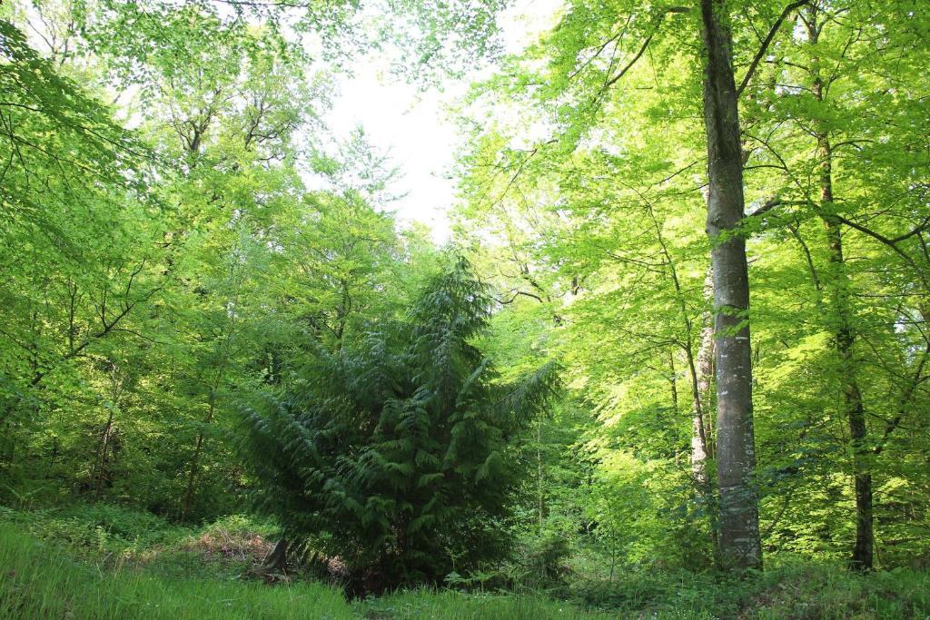 Albert Premier Hotel Bagnoles-de-l'Orne Kültér fotó